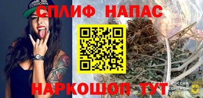 прущие грибы Конаково